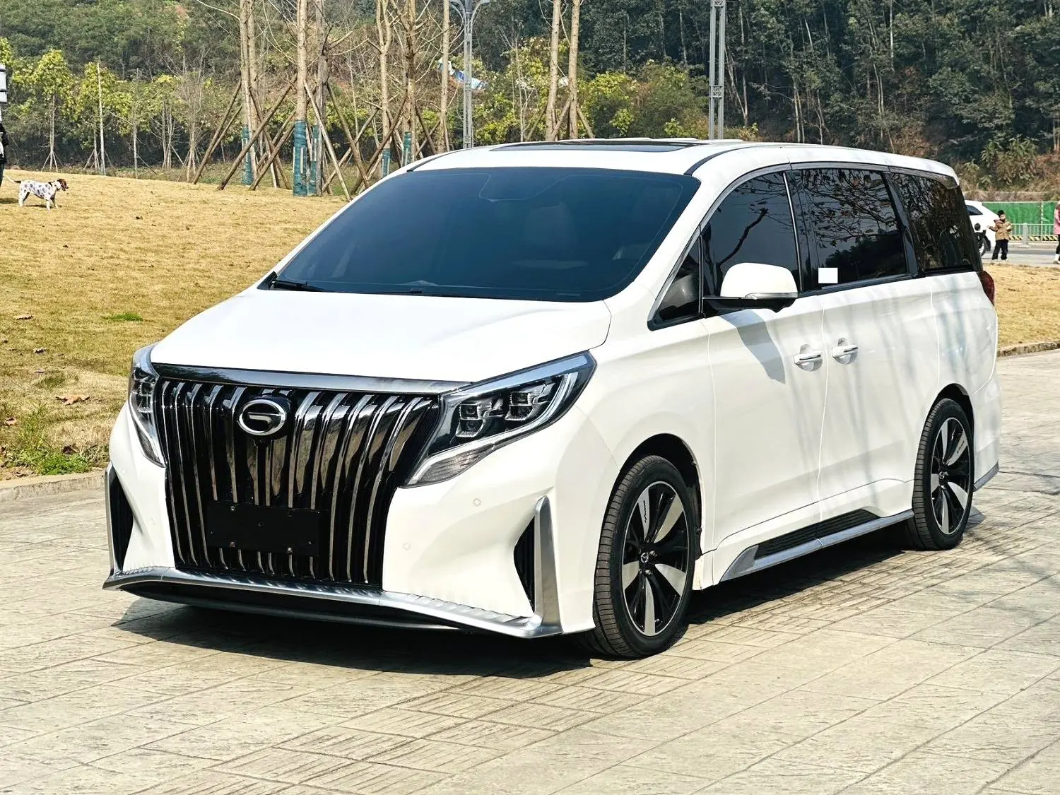 GAC Trumpchi M8  из Китая