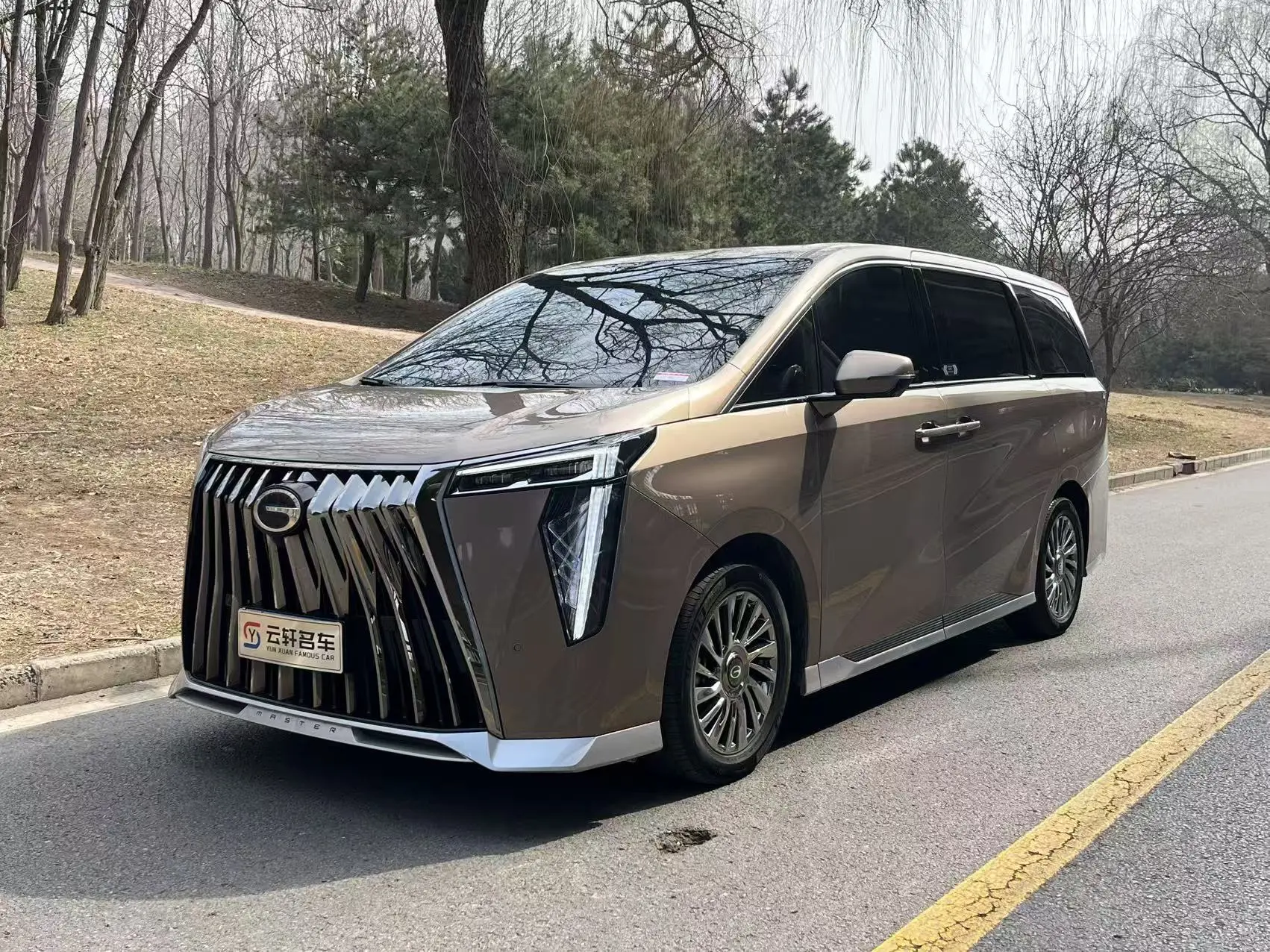 GAC Trumpchi M8  из Китая