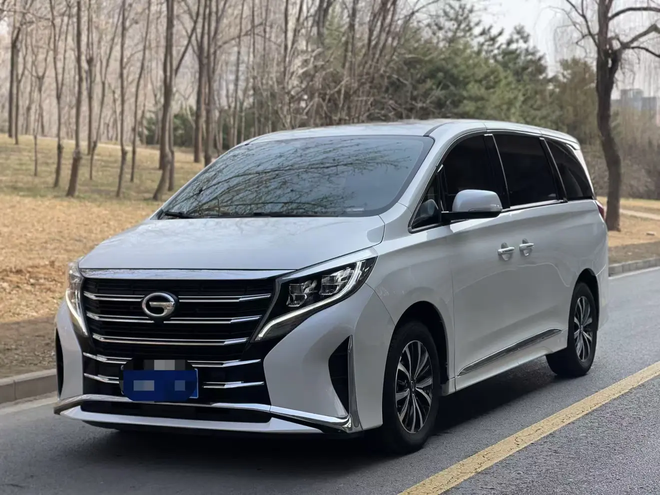 GAC Trumpchi M8  из Китая