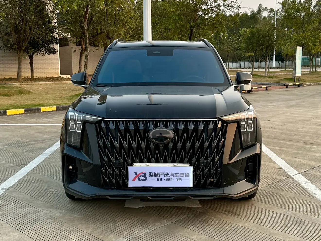 GAC Trumpchi ES9 PHEV  из Китая