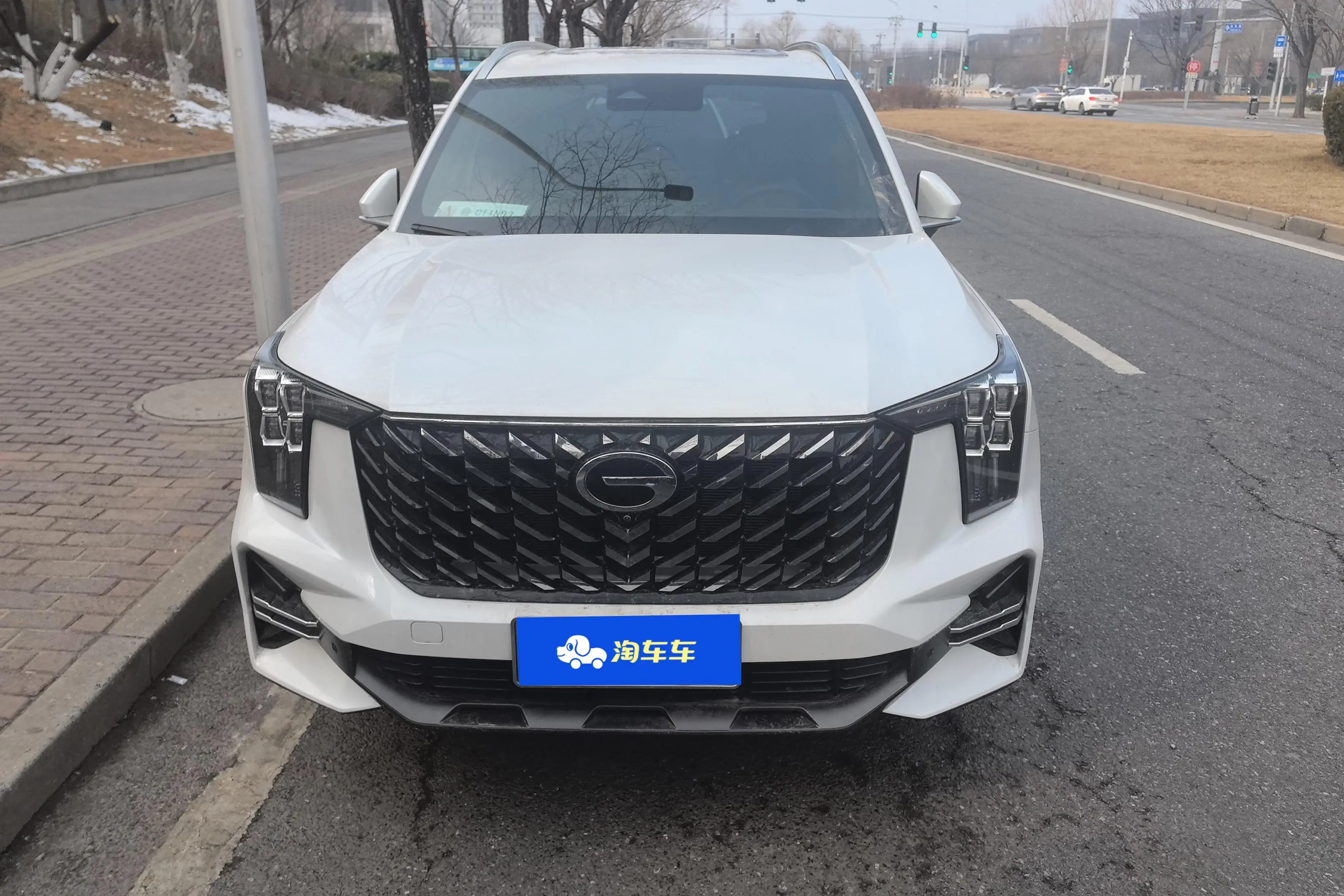 GAC Trumpchi GS8  из Китая