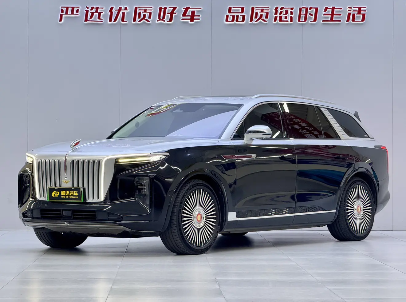 Hongqi E-HS9  из Китая
