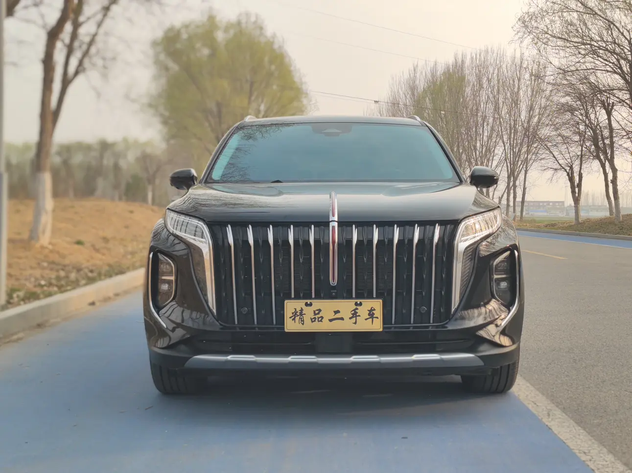 Hongqi HS7 PHEV  из Китая