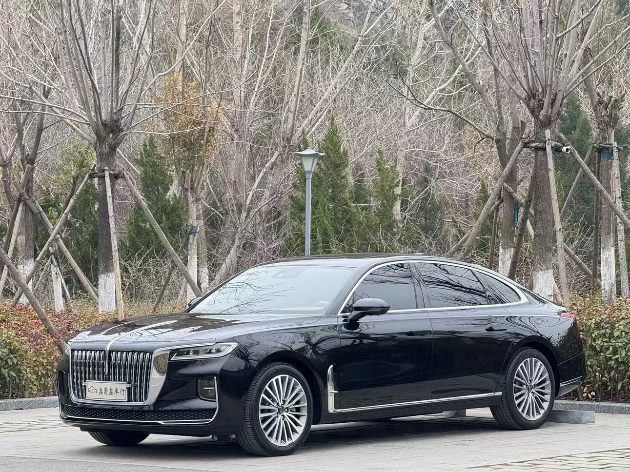 Hongqi H9  из Китая