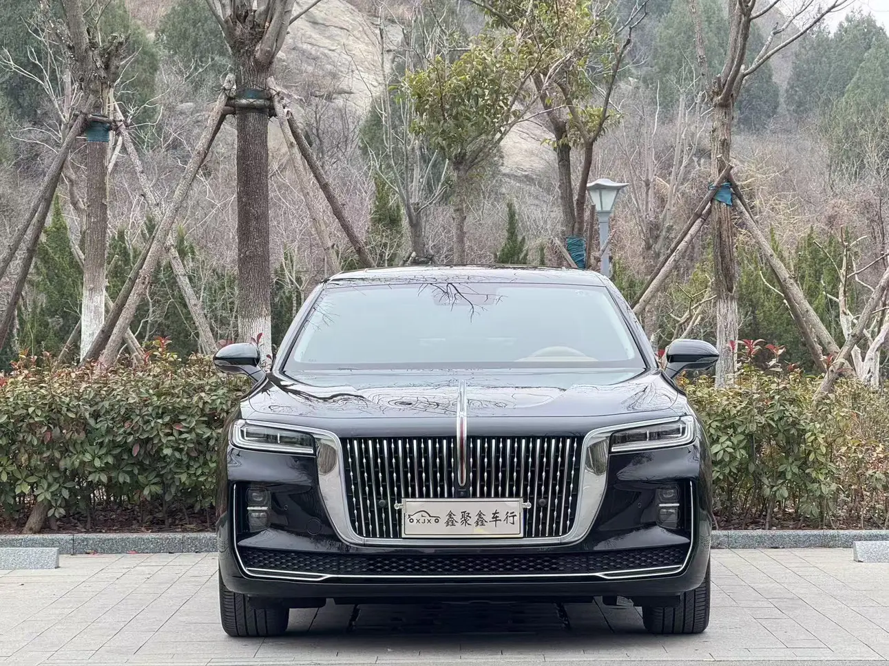 Hongqi H9  из Китая