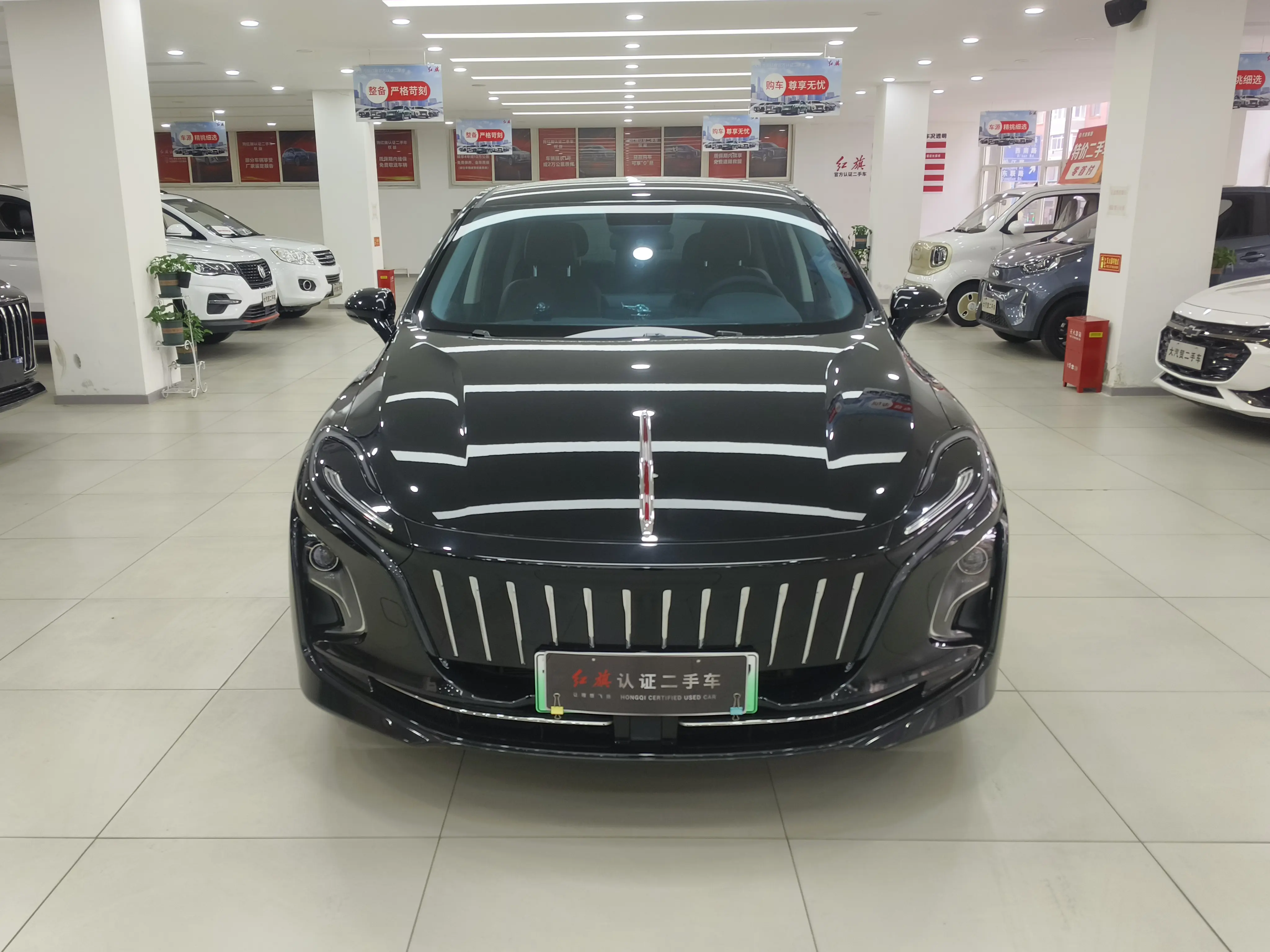 Hongqi E-QM5  из Китая