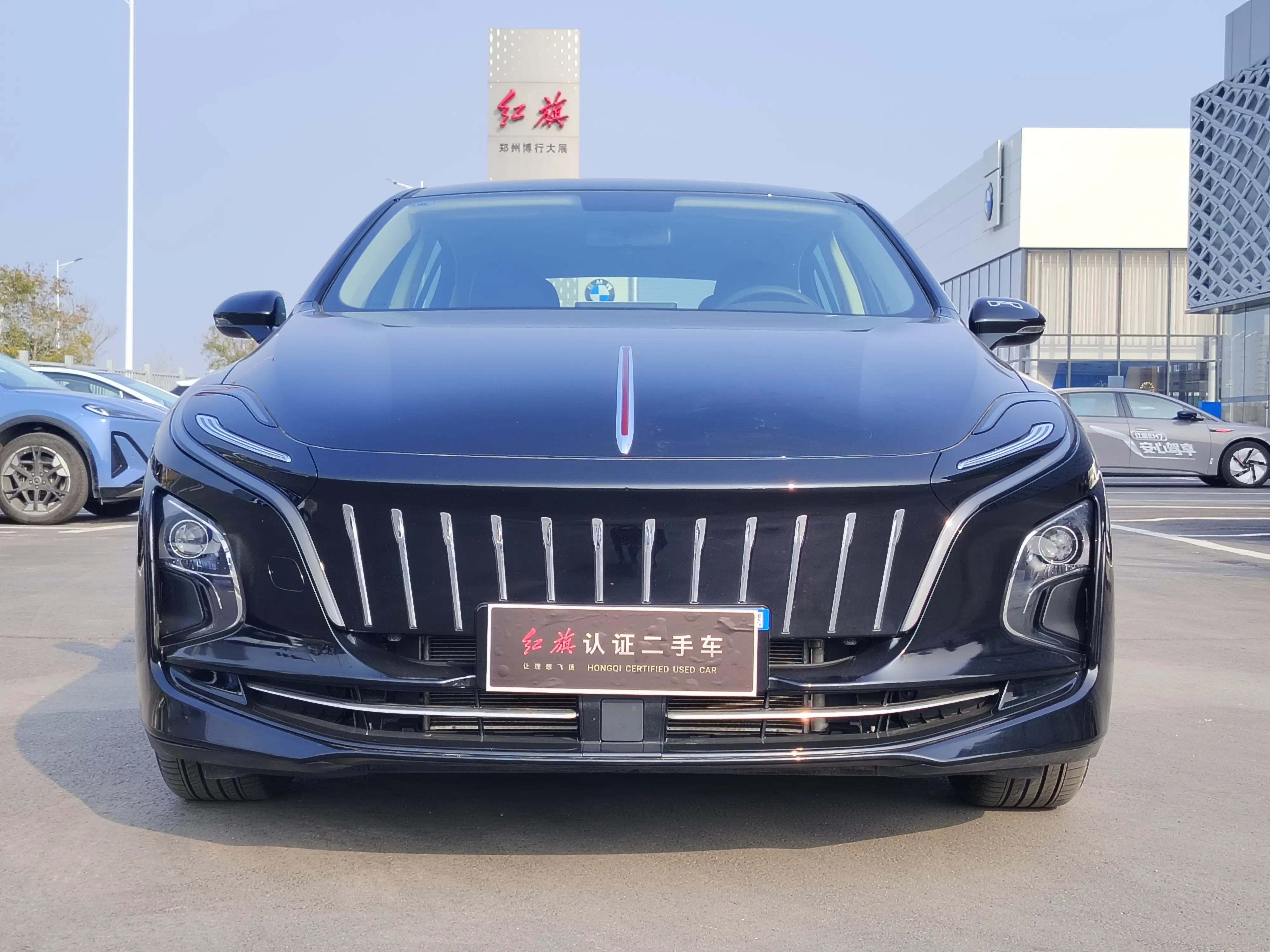 Hongqi E-QM5  из Китая