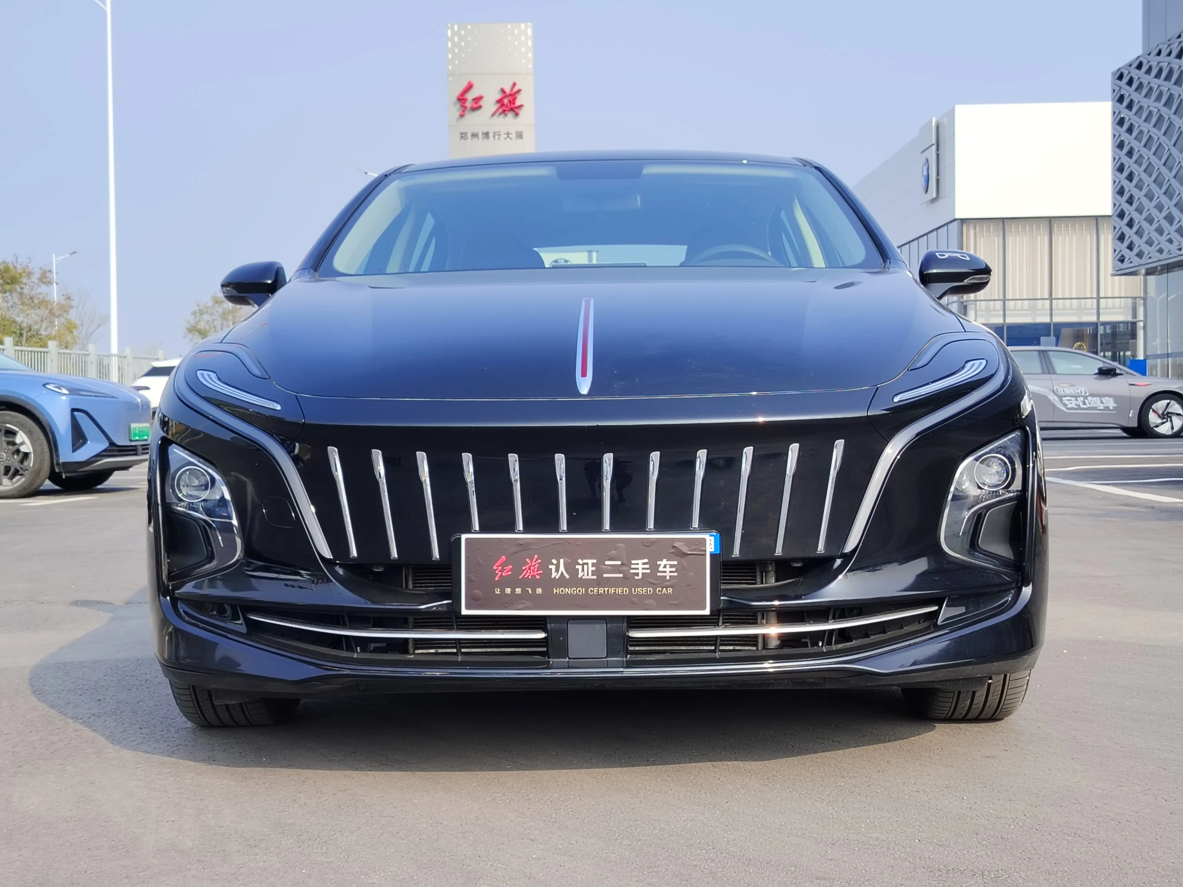 Hongqi E-QM5  из Китая