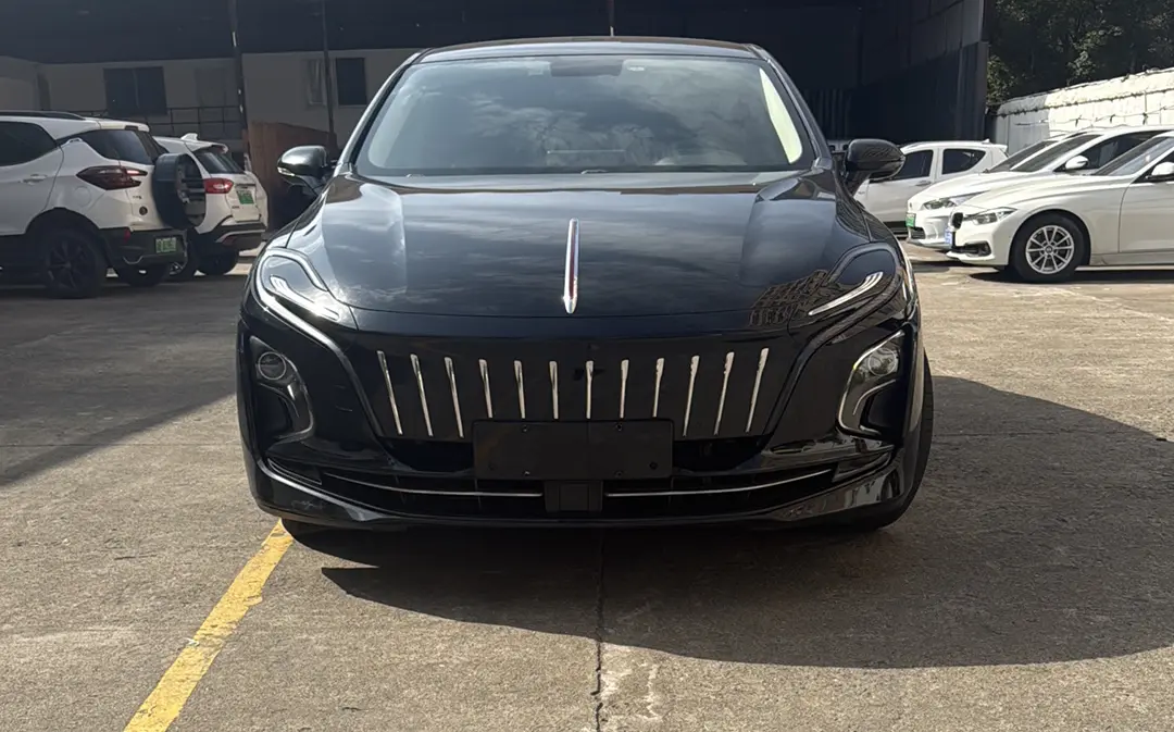 Hongqi E-QM5  из Китая