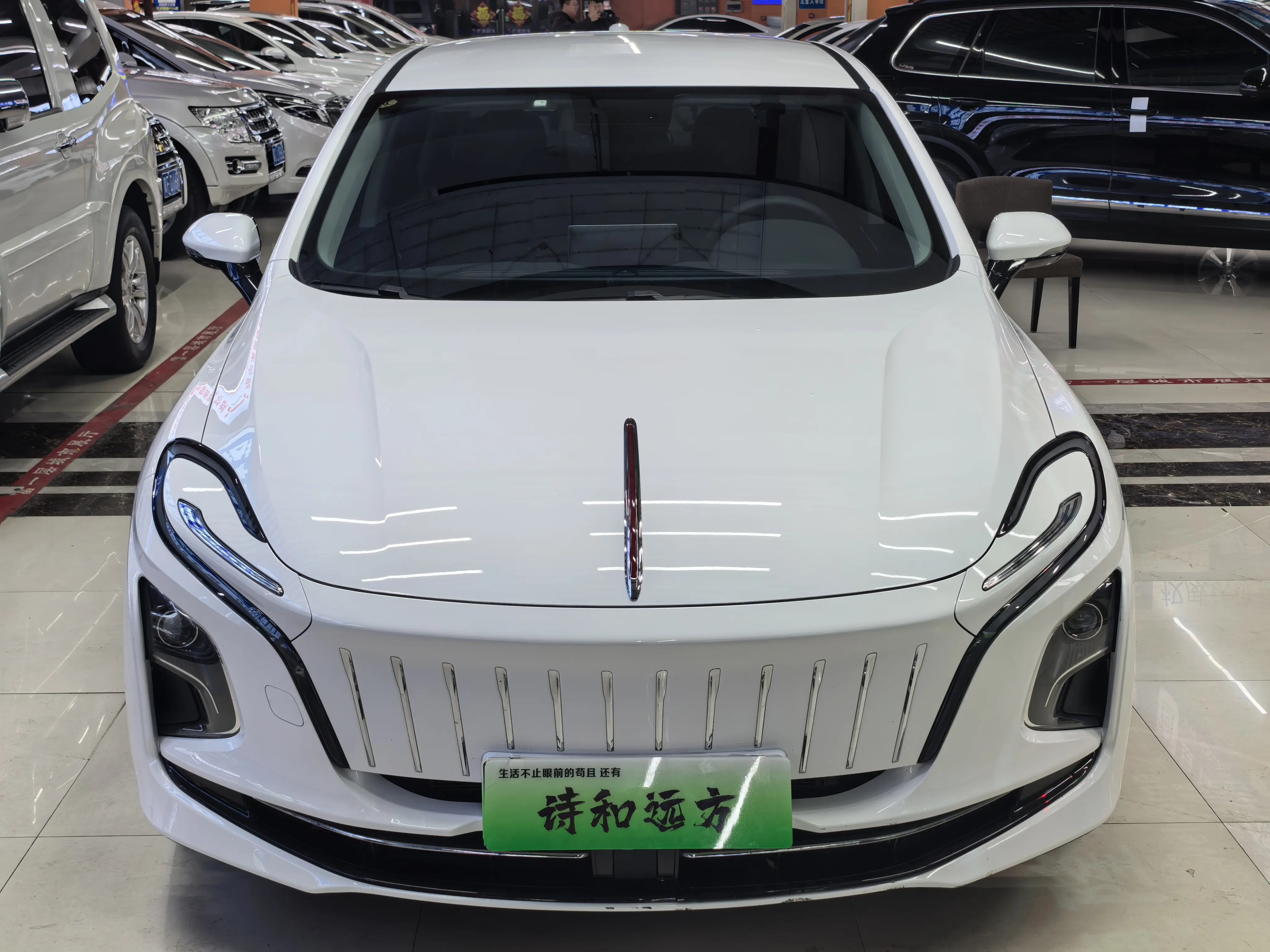 Hongqi E-QM5  из Китая