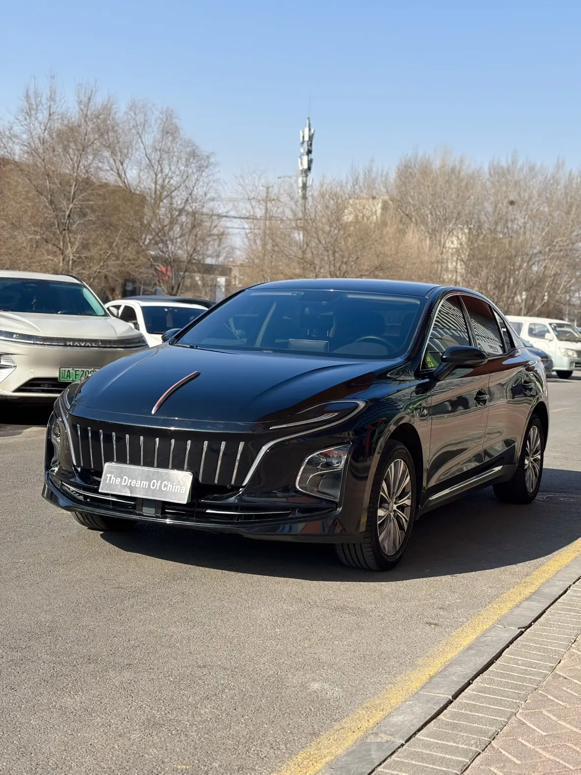Hongqi E-QM5  из Китая