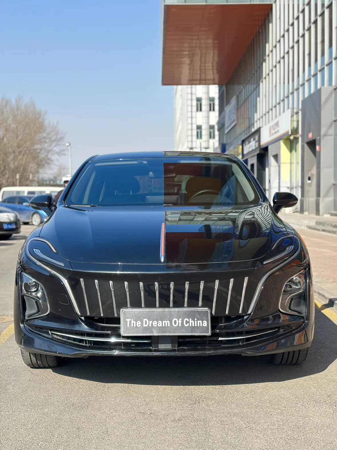 Hongqi E-QM5  из Китая
