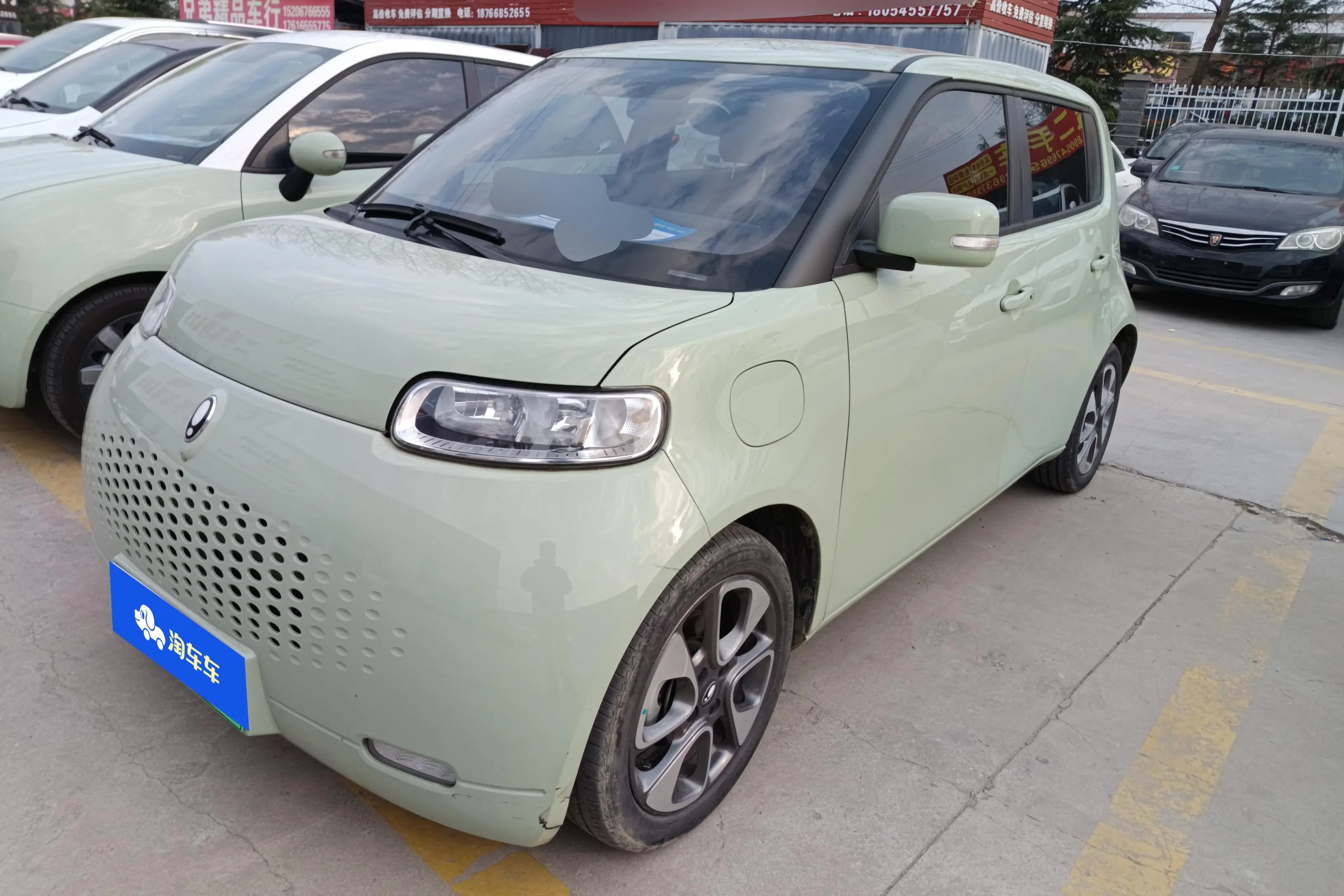 ORA Euler white cat  из Китая