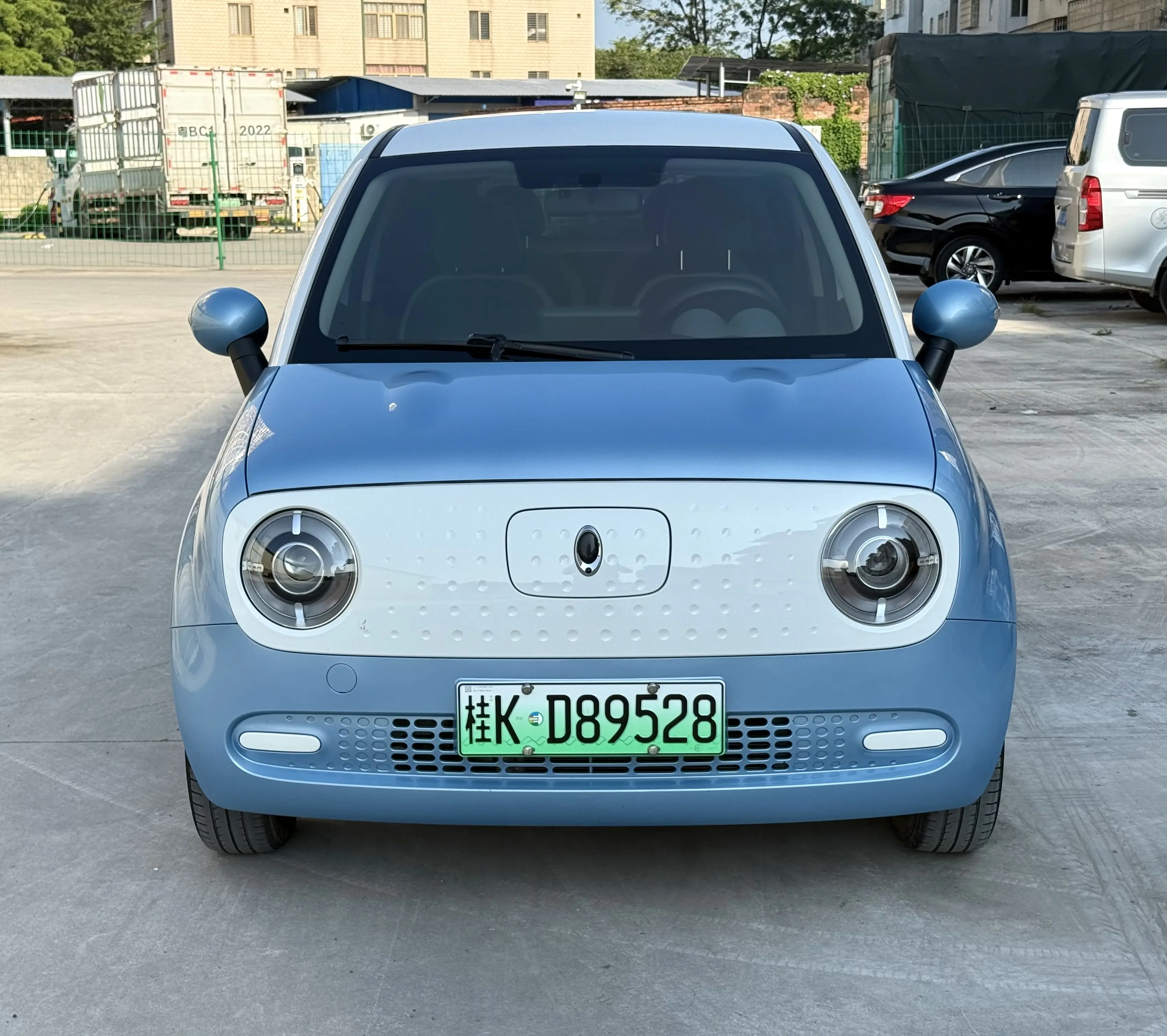 ORA Euler black cat  из Китая