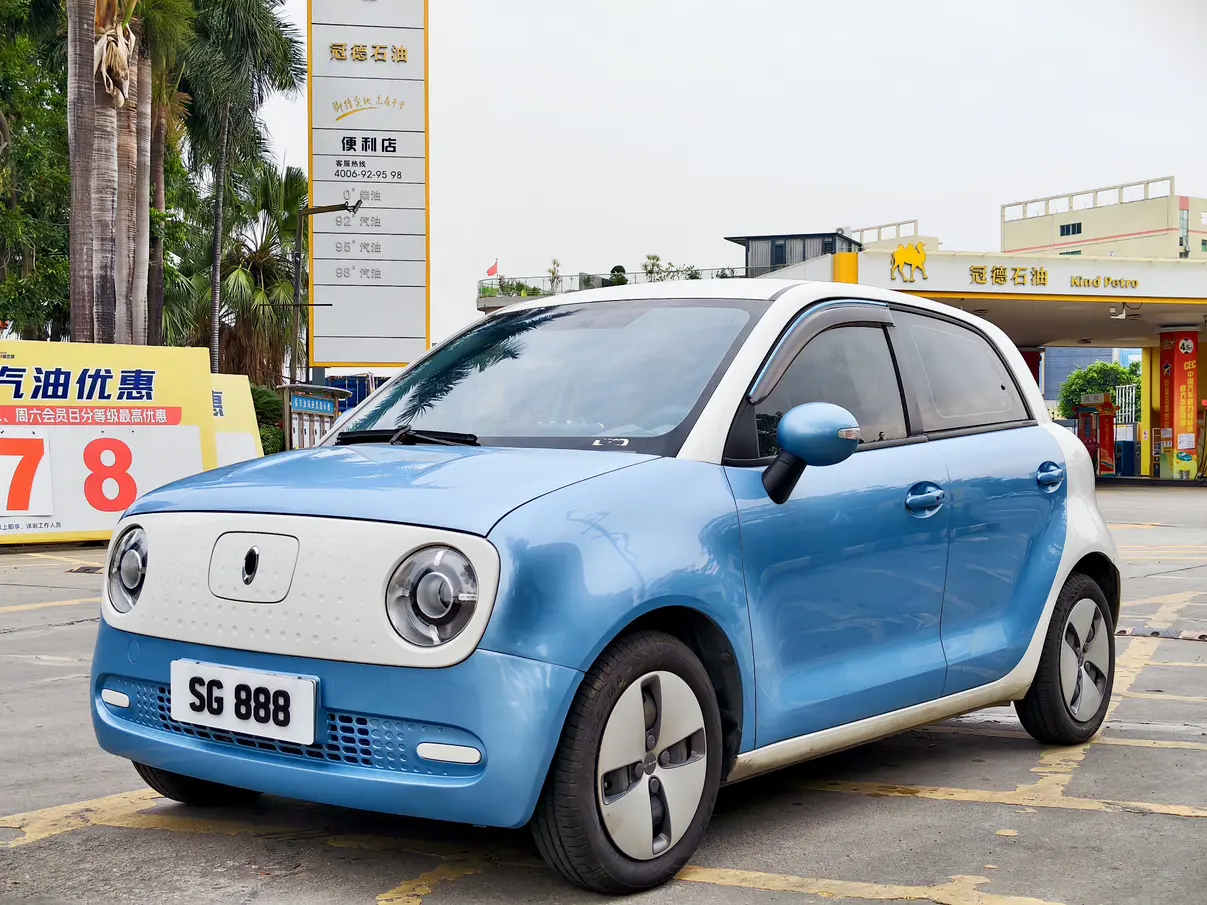 ORA Euler black cat  из Китая