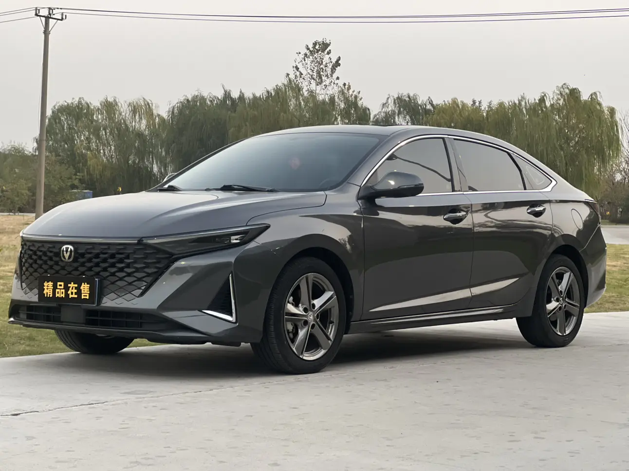 Changan Ruicheng PLUS  из Китая