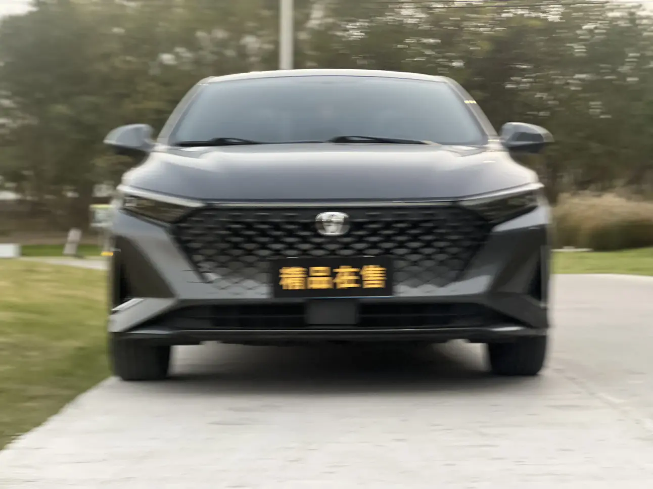 Changan Ruicheng PLUS  из Китая