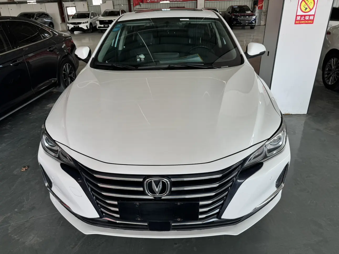 Changan Ruicheng CC  из Китая