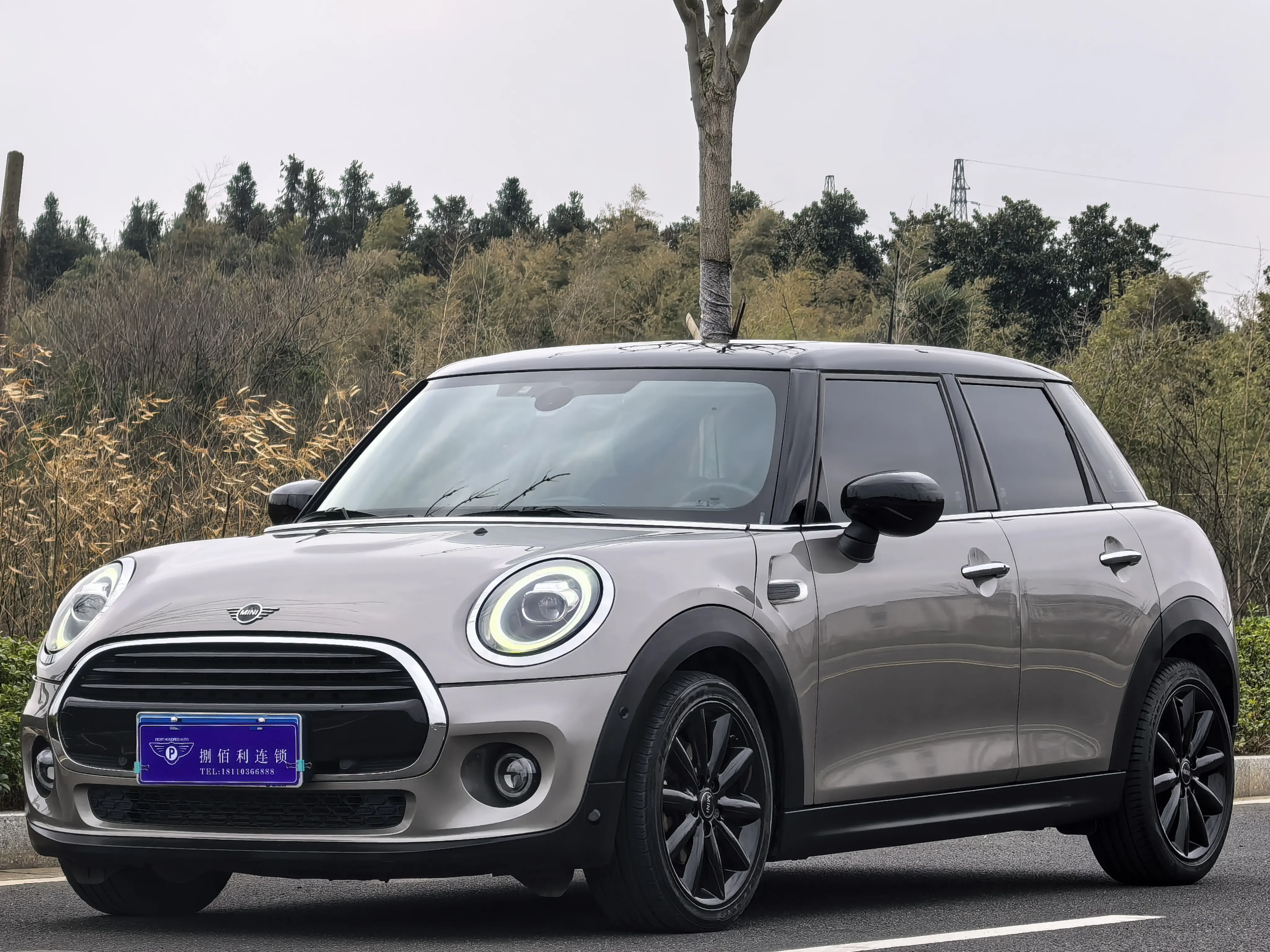 MINI MINI