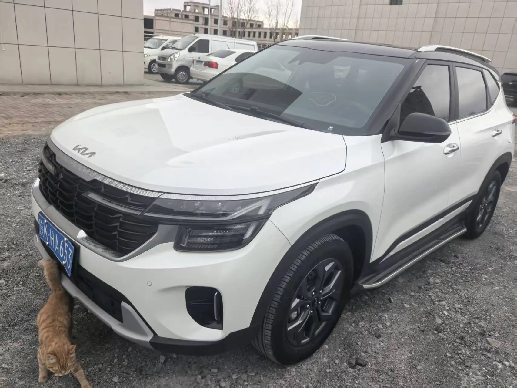 Kia Seltos