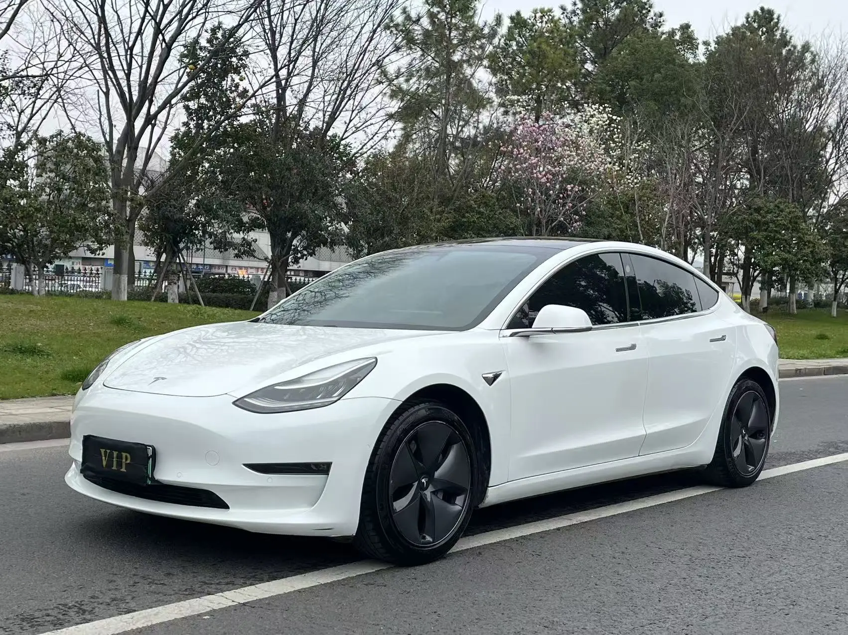 Tesla Model 3  из Китая