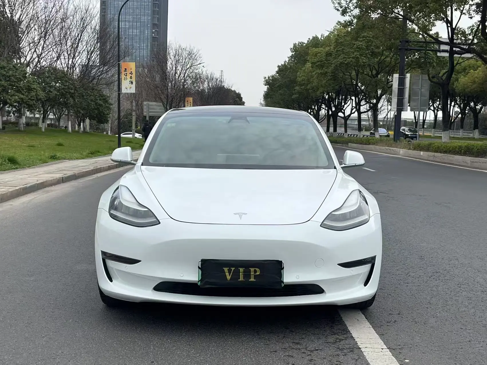 Tesla Model 3  из Китая