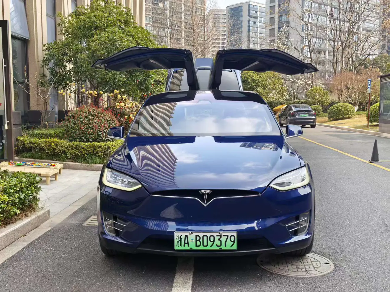 Tesla Model X  из Китая