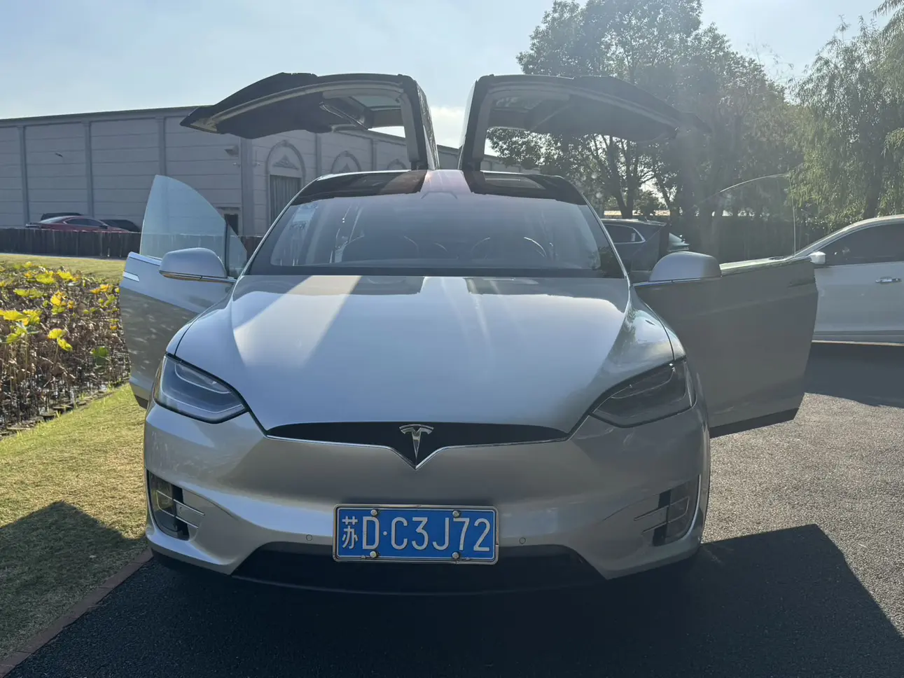 Tesla Model X  из Китая