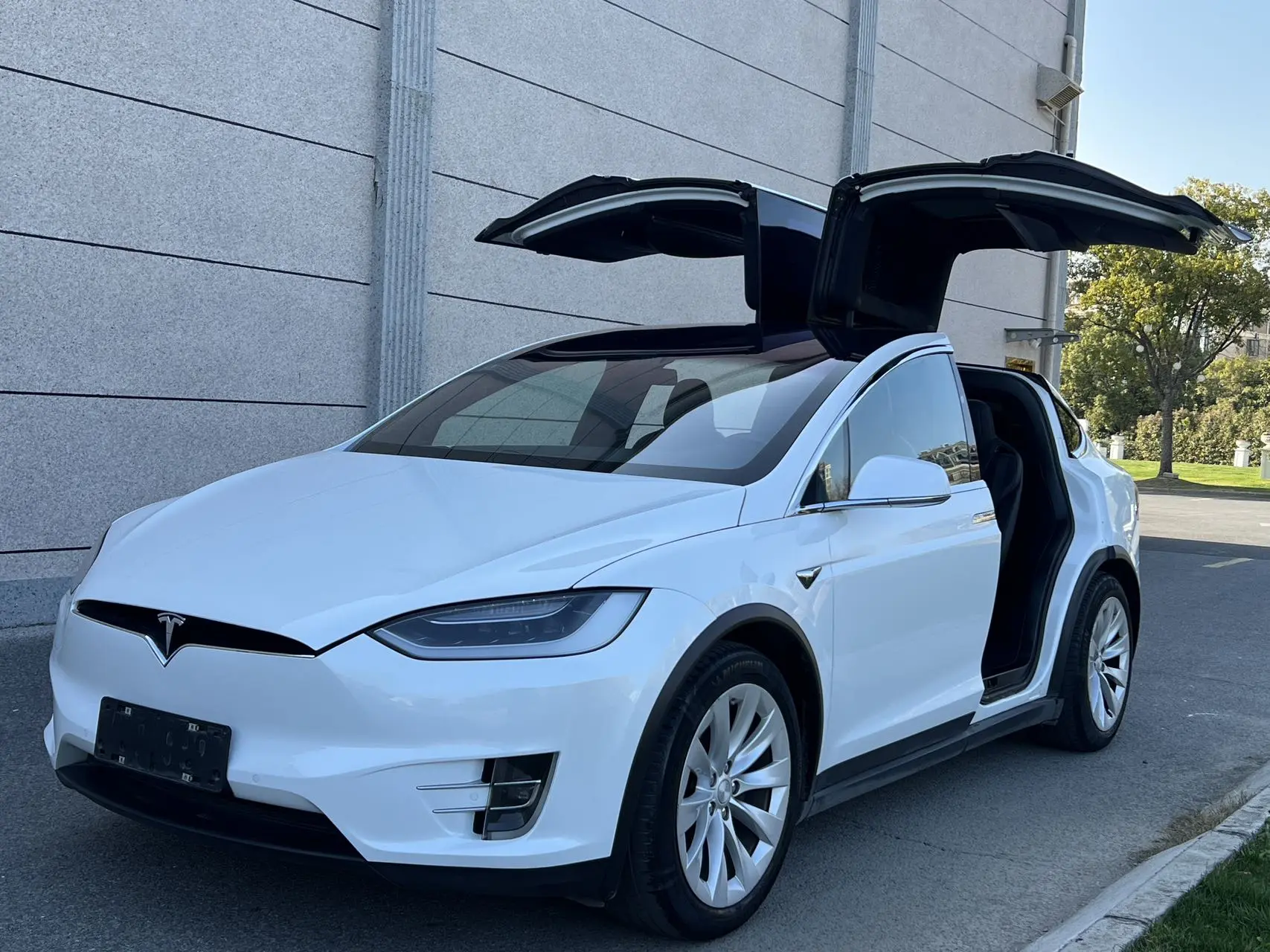 Tesla Model X  из Китая