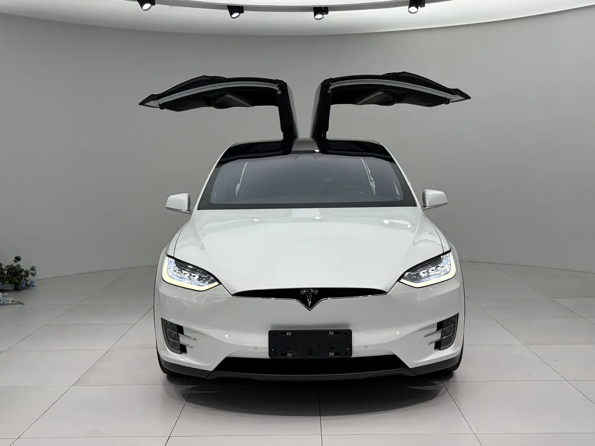 Tesla Model X  из Китая