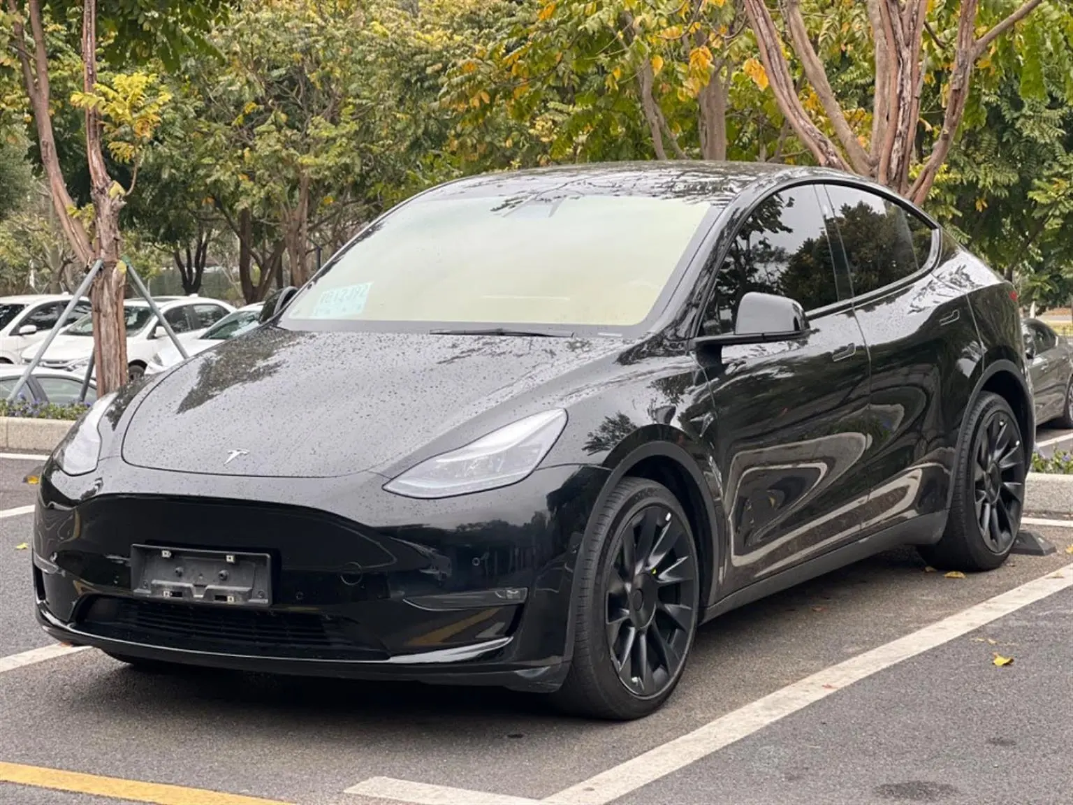 Tesla Model Y  из Китая