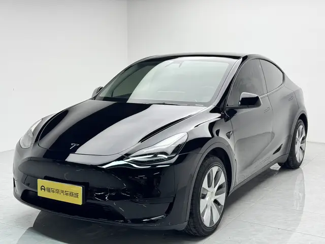 Tesla Model Y  из Китая