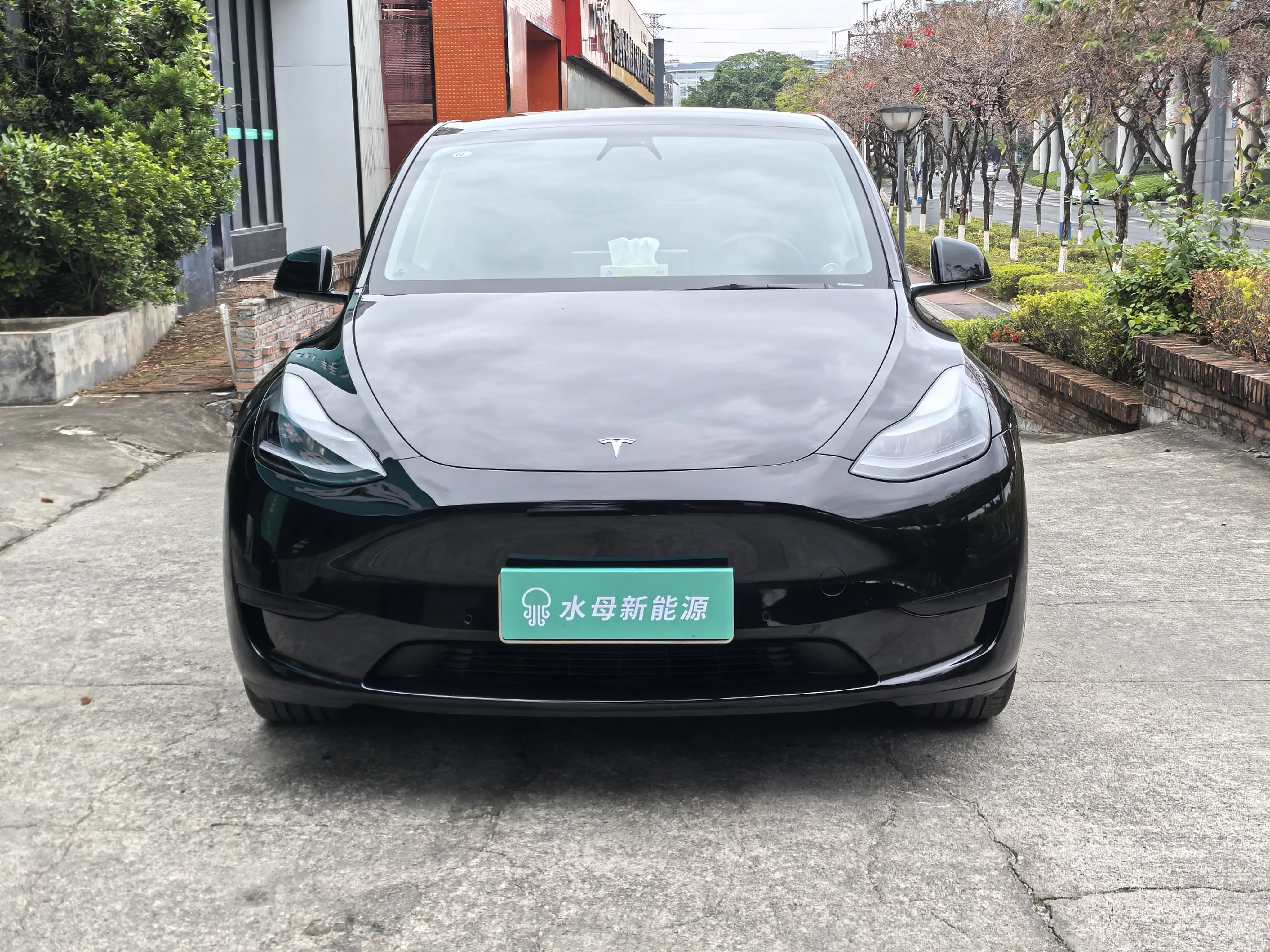 Tesla Model Y  из Китая