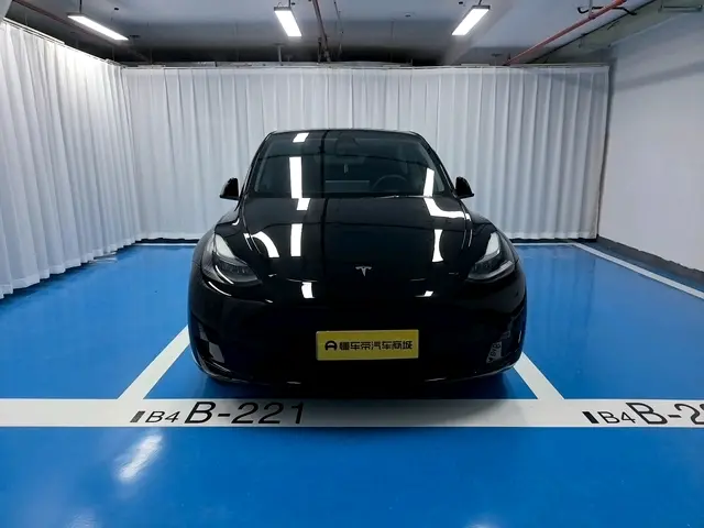 Tesla Model Y  из Китая