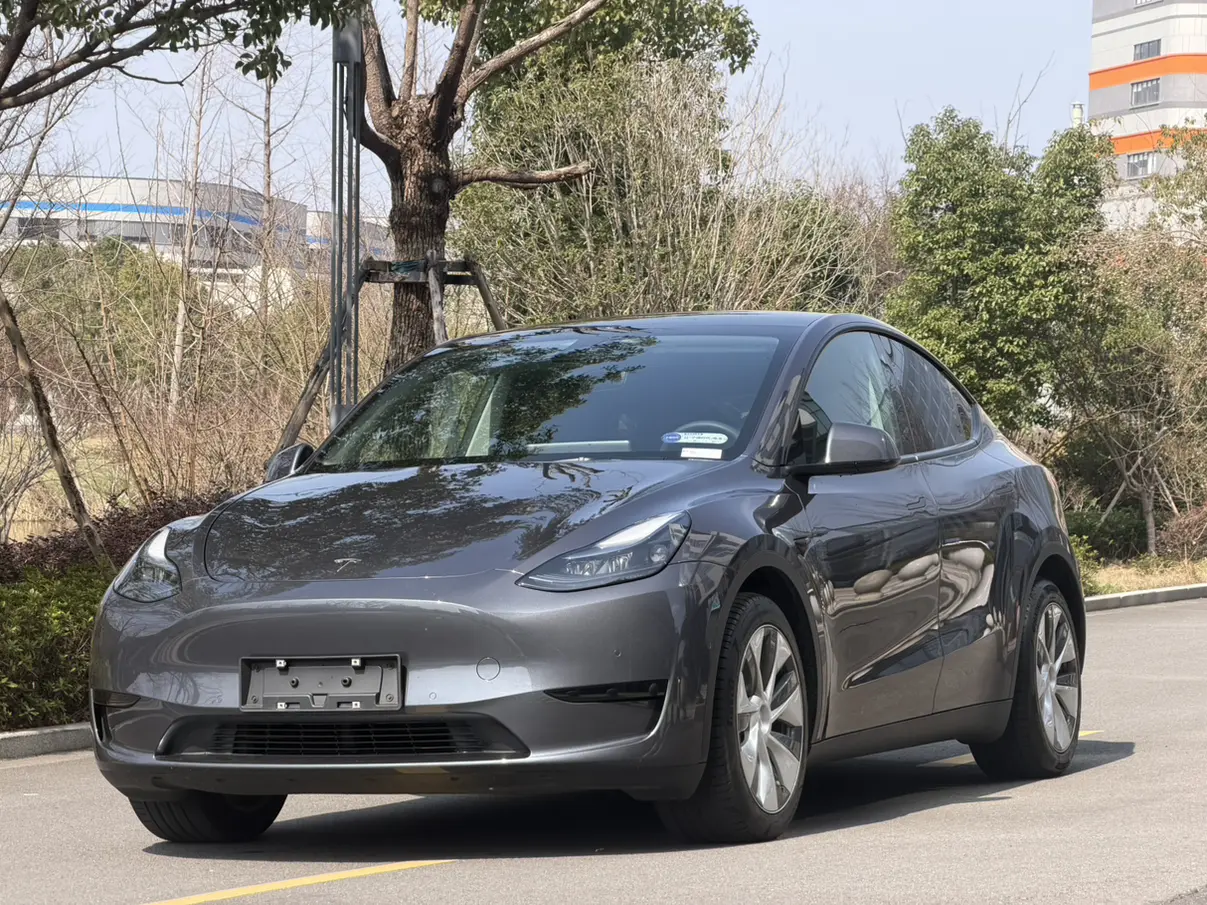 Tesla Model Y  из Китая