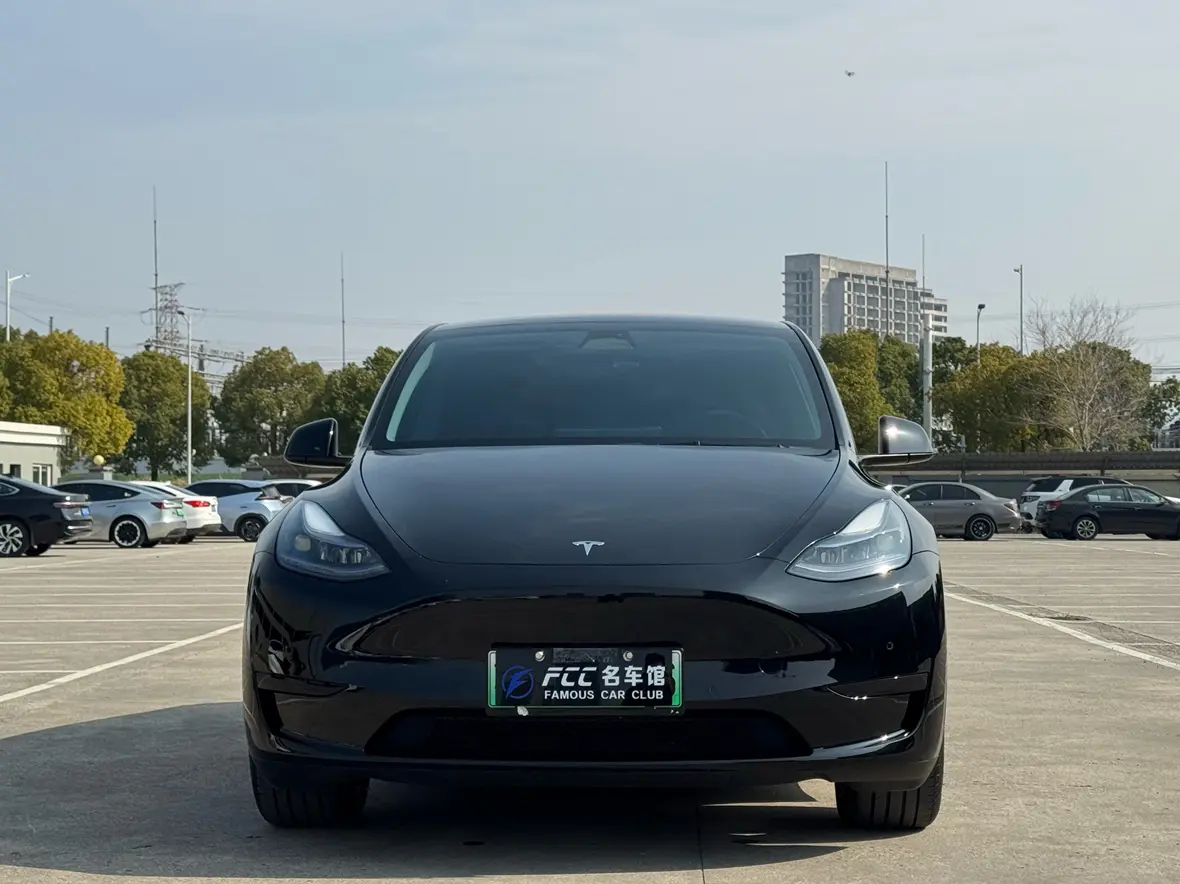Tesla Model Y  из Китая