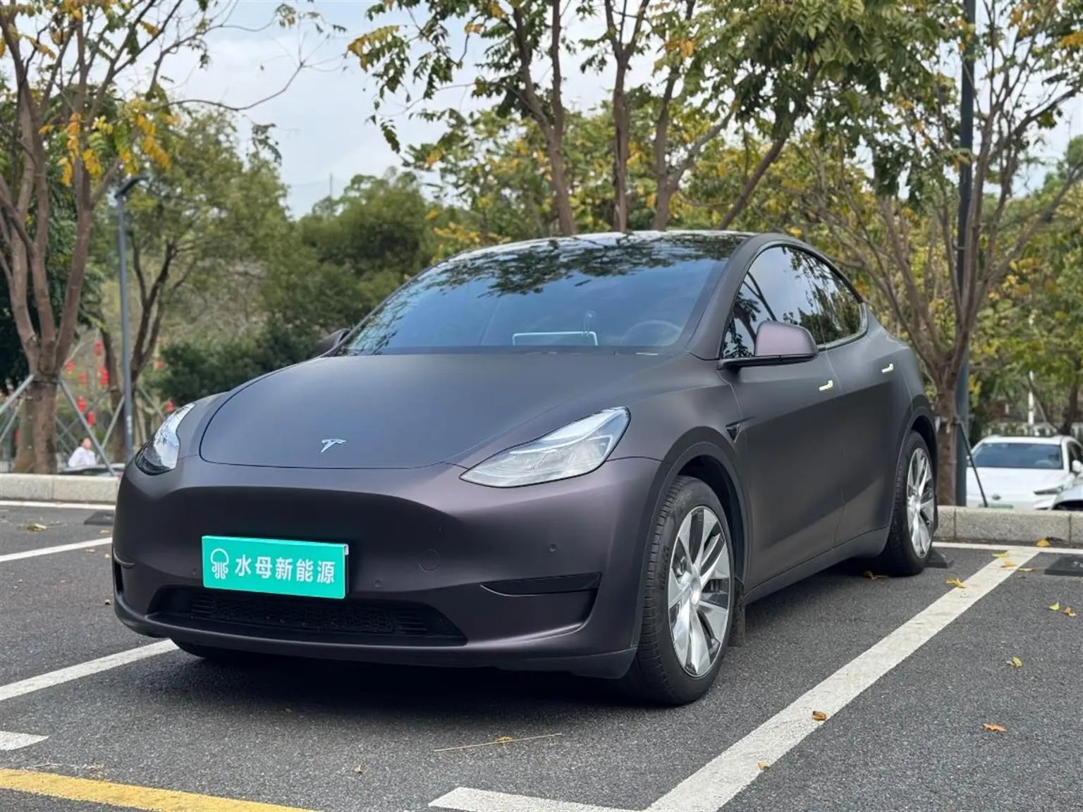 Tesla Model Y  из Китая