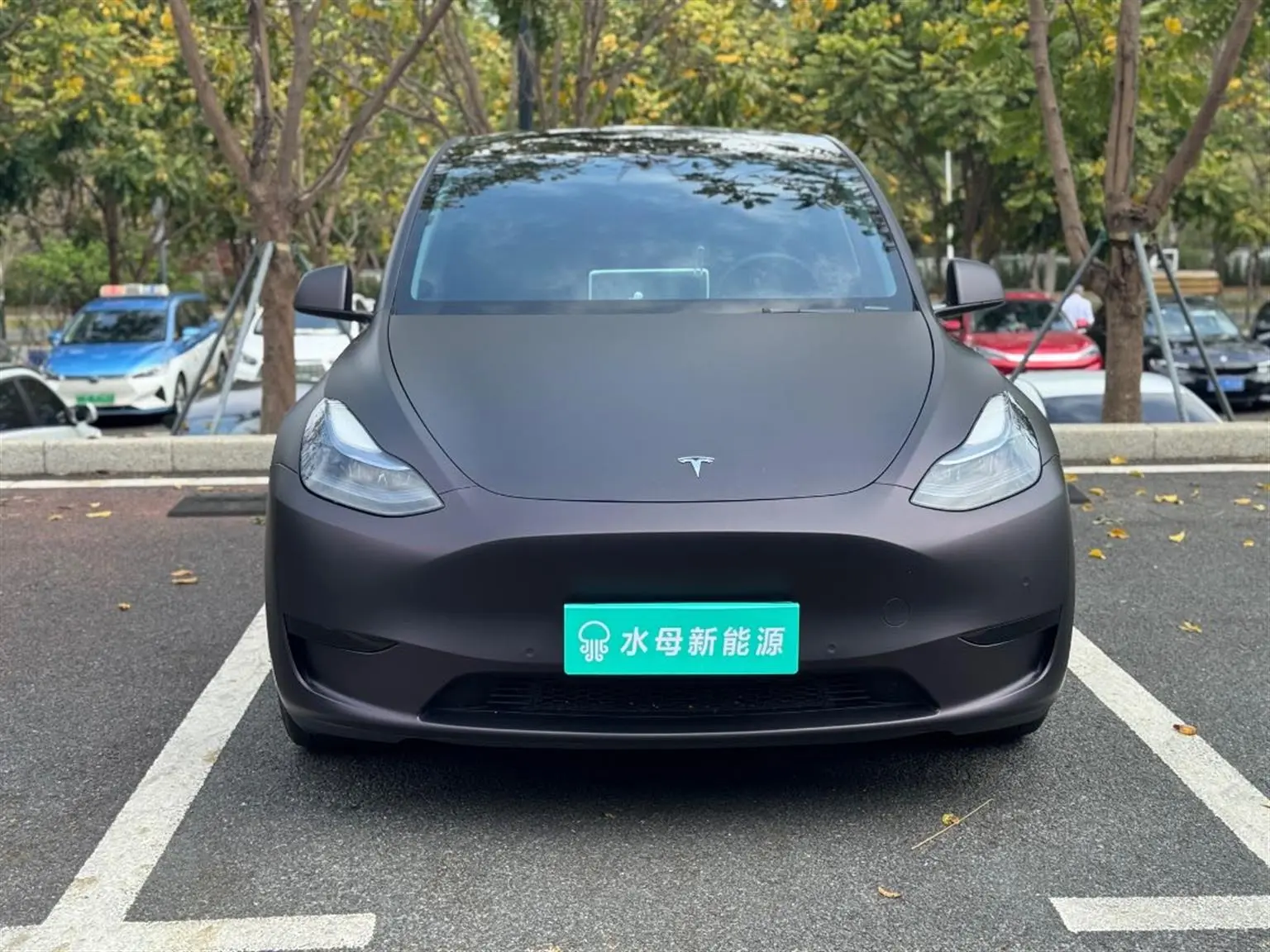 Tesla Model Y  из Китая