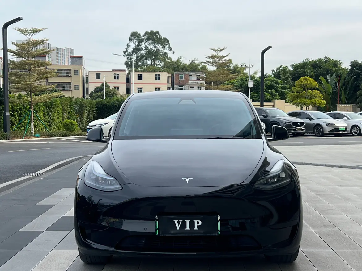 Tesla Model Y  из Китая