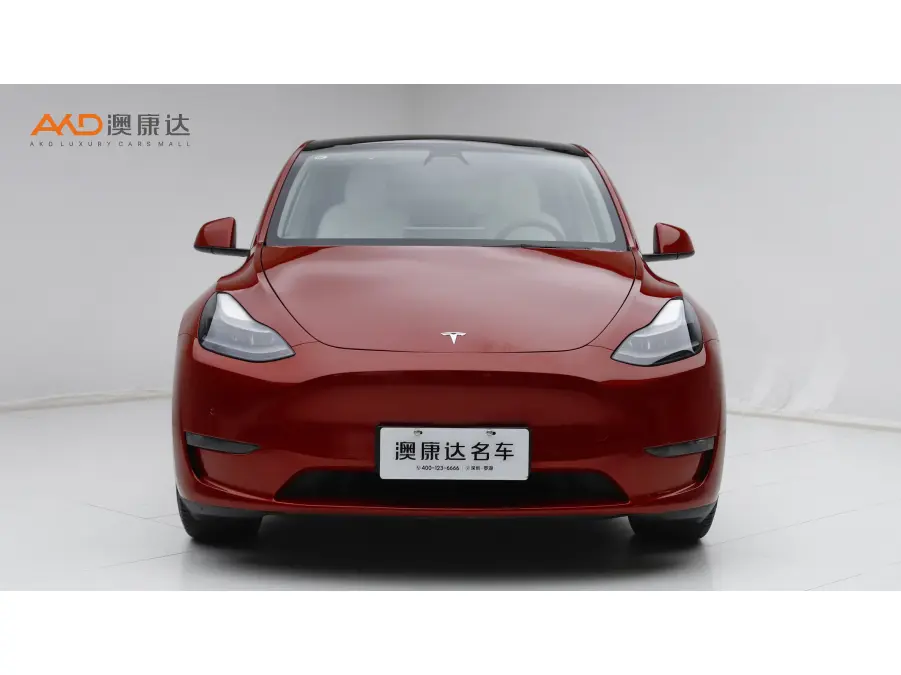 Tesla Model Y  из Китая