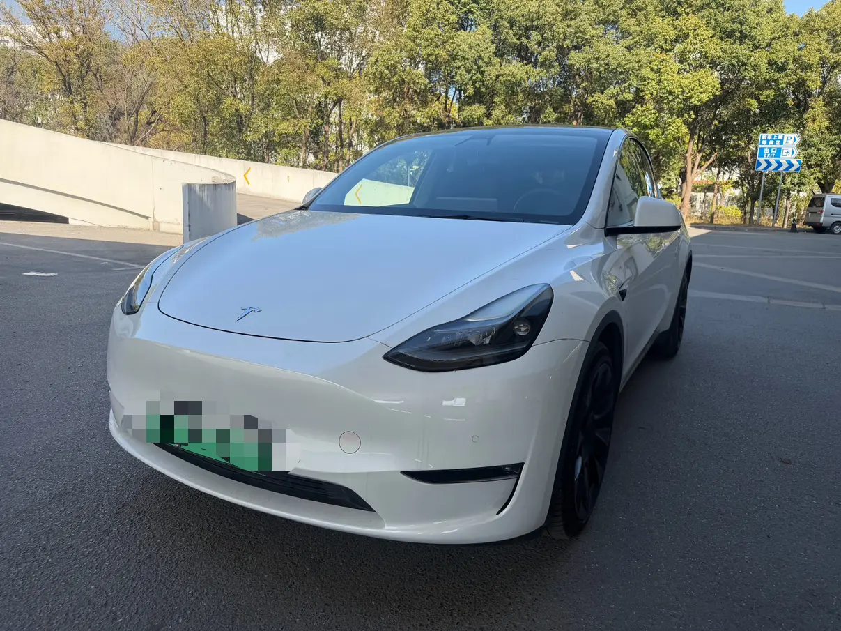 Tesla Model Y  из Китая