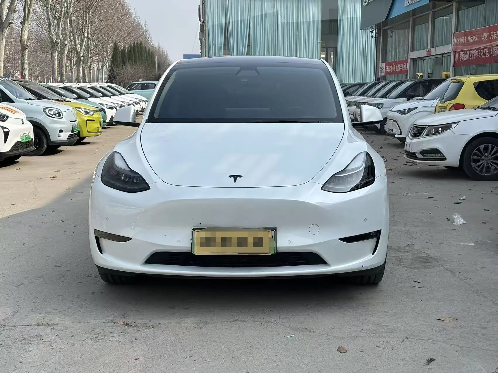 Tesla Model Y  из Китая