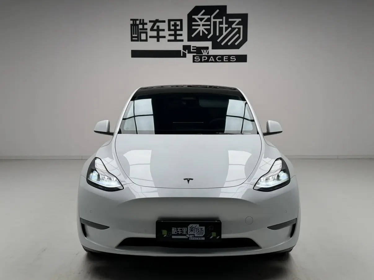 Tesla Model Y  из Китая