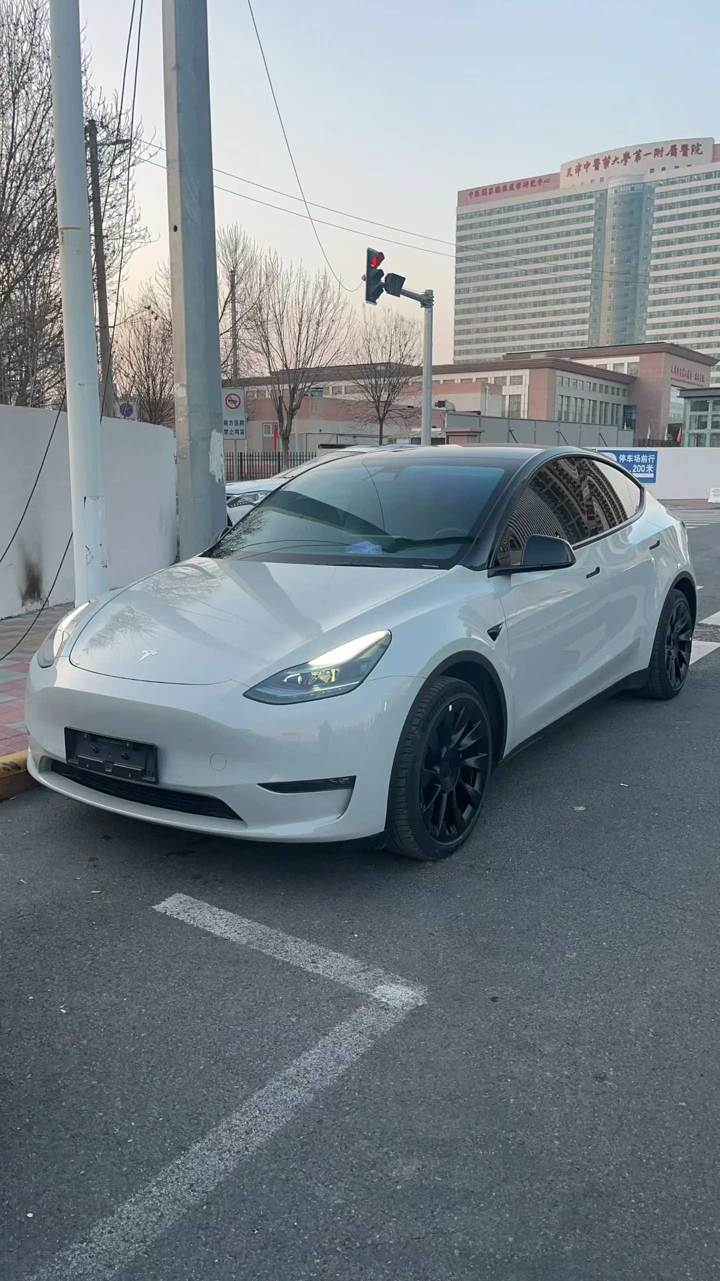 Tesla Model Y  из Китая