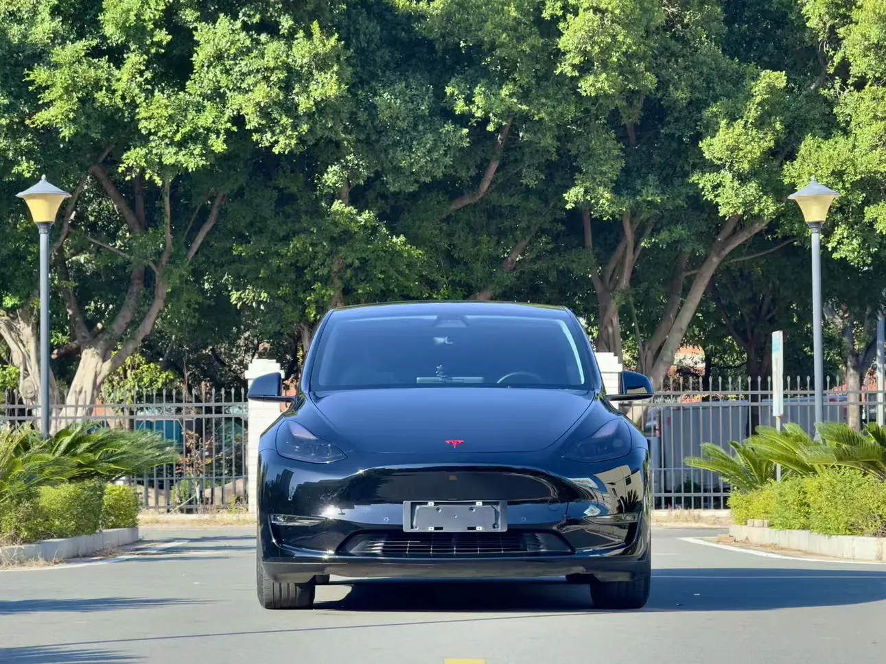 Tesla Model Y  из Китая