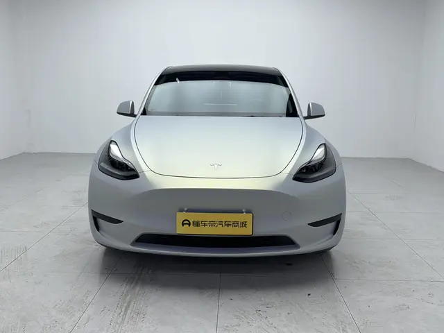 Tesla Model Y  из Китая