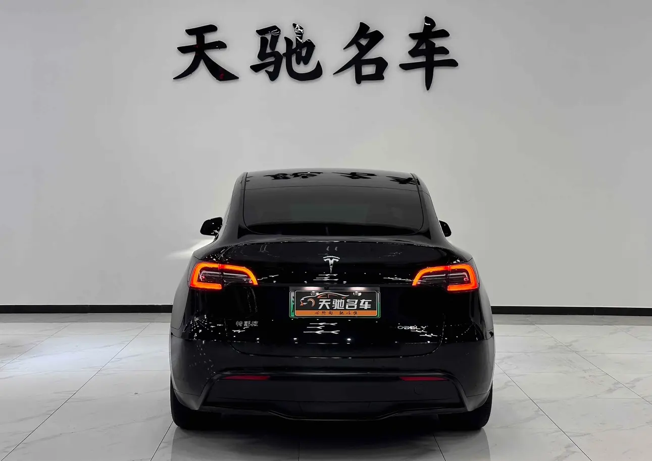 Tesla Model Y  из Китая