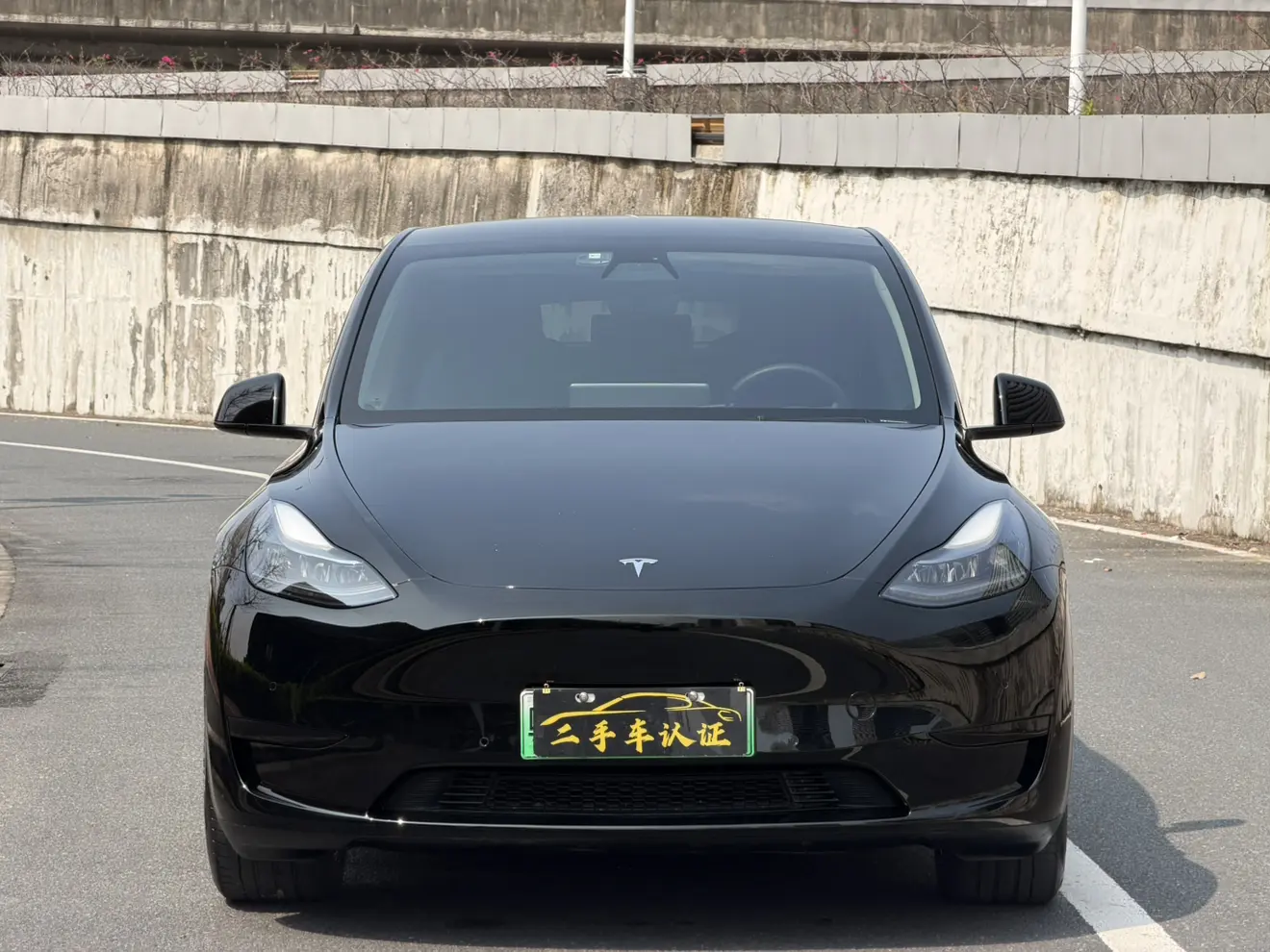 Tesla Model Y  из Китая