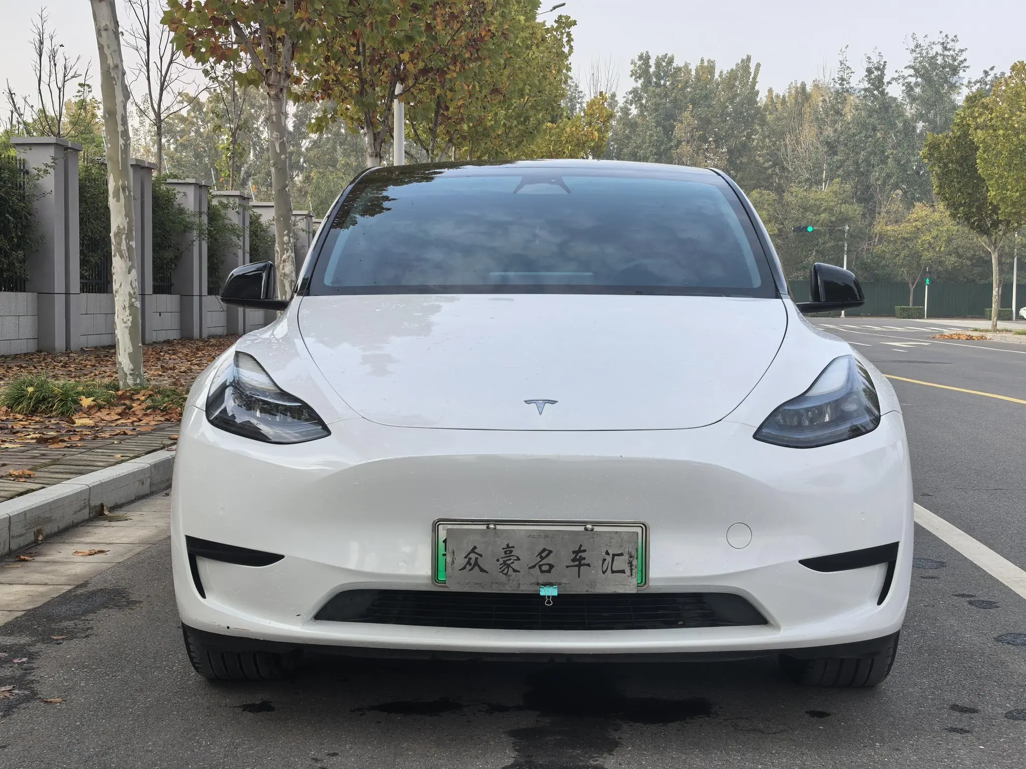 Tesla Model Y  из Китая