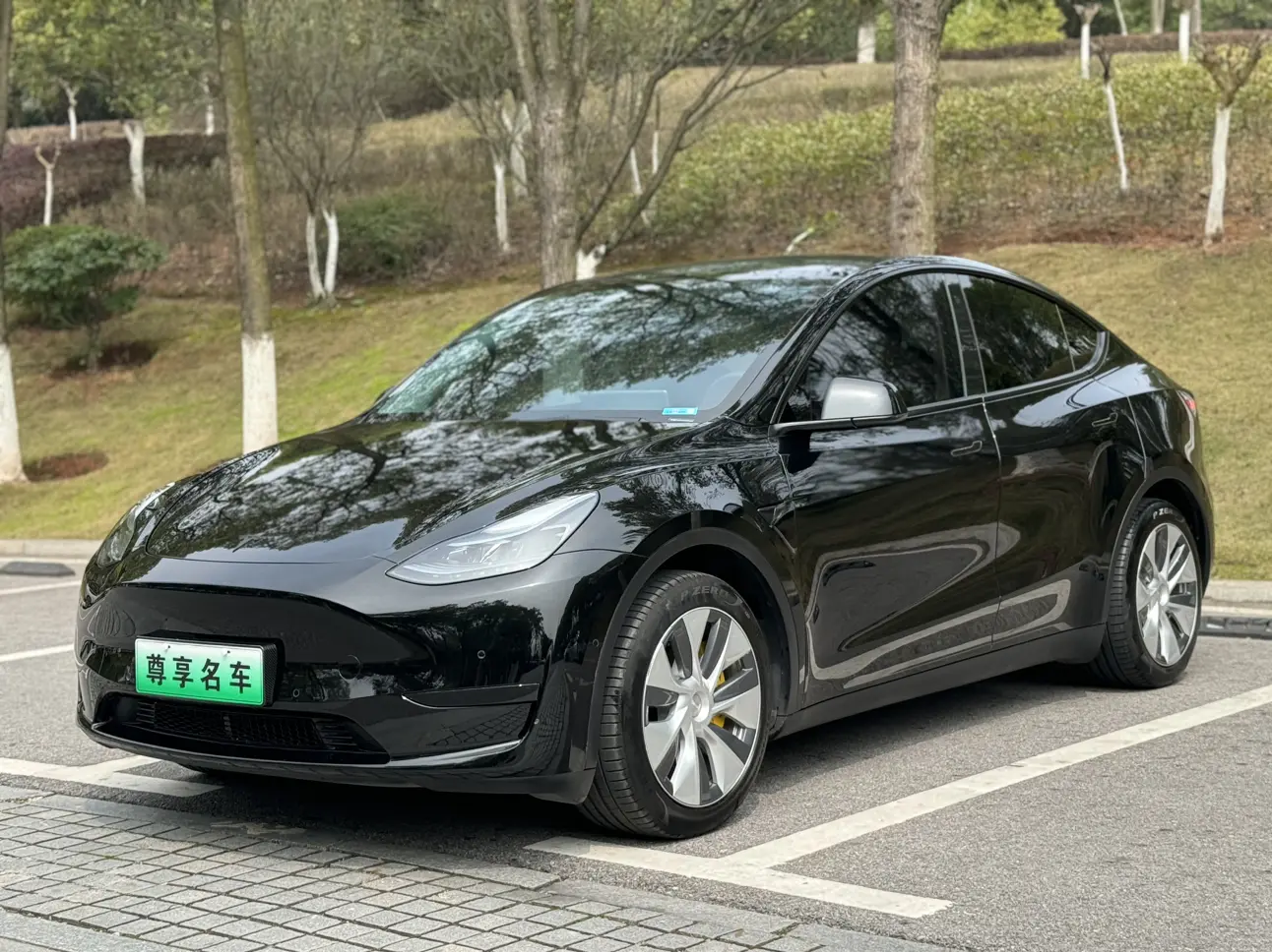Tesla Model Y  из Китая
